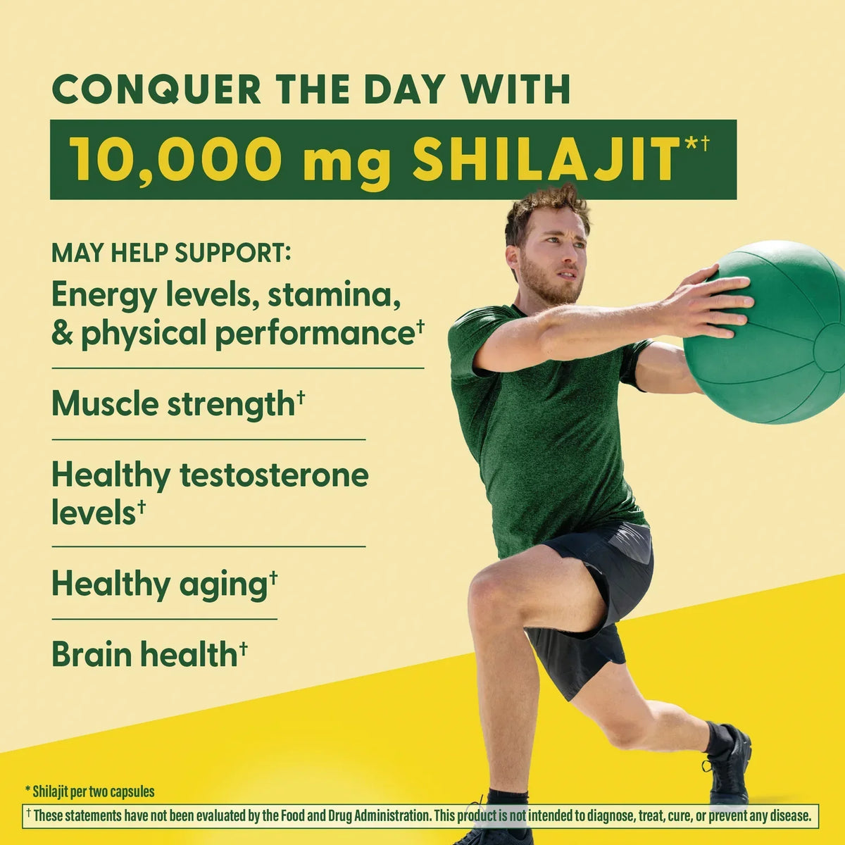 Shilajit with Fulvic Acid