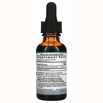 Gotu Kola Extract