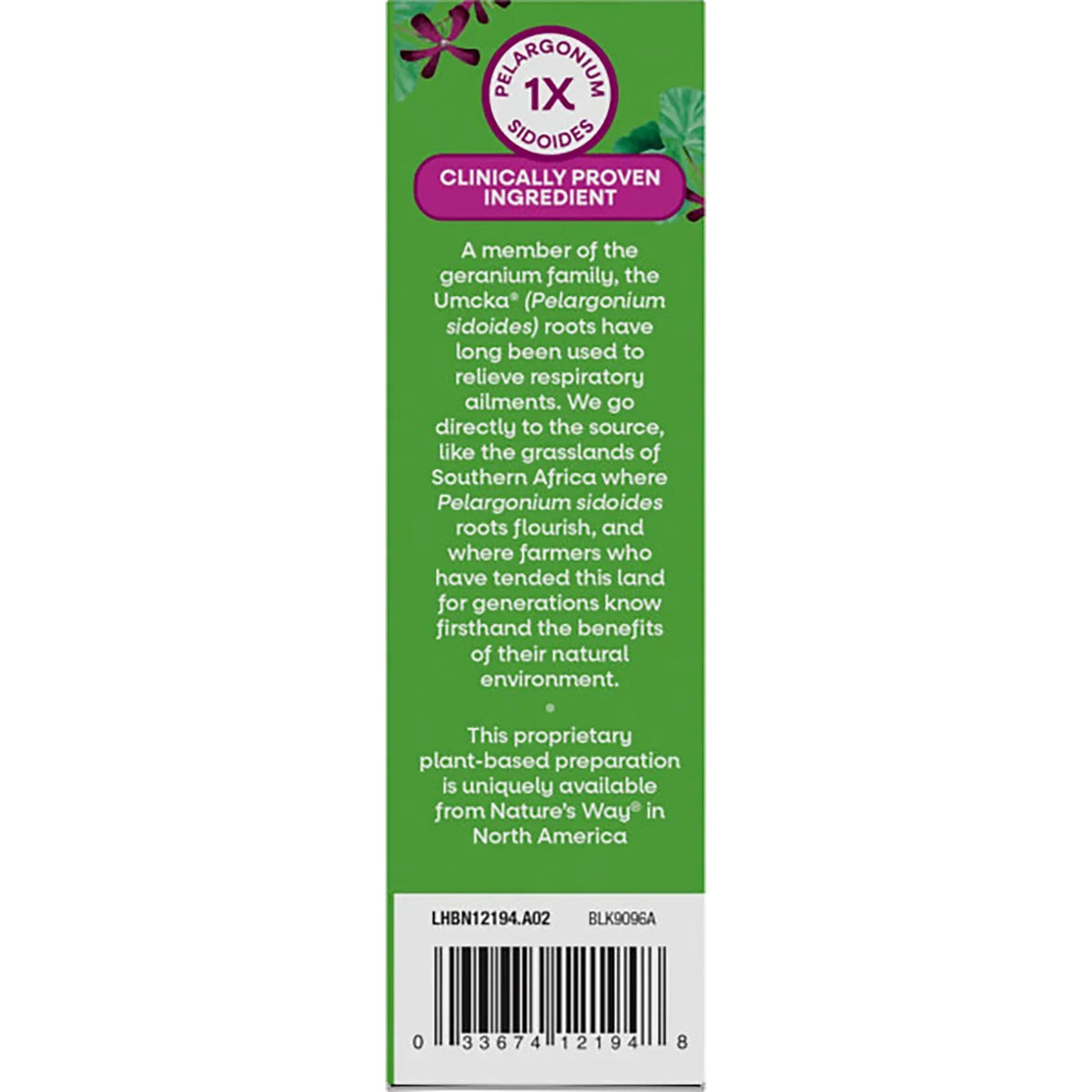 Umcka Allergy + Sinus Relief Chewables - Cherry