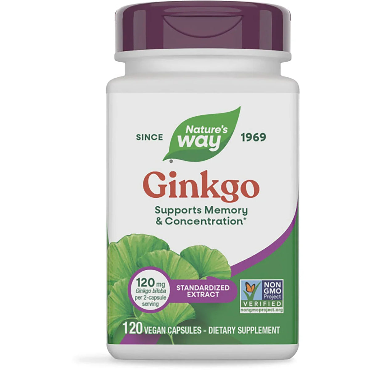 Ginkgo Premium Extract