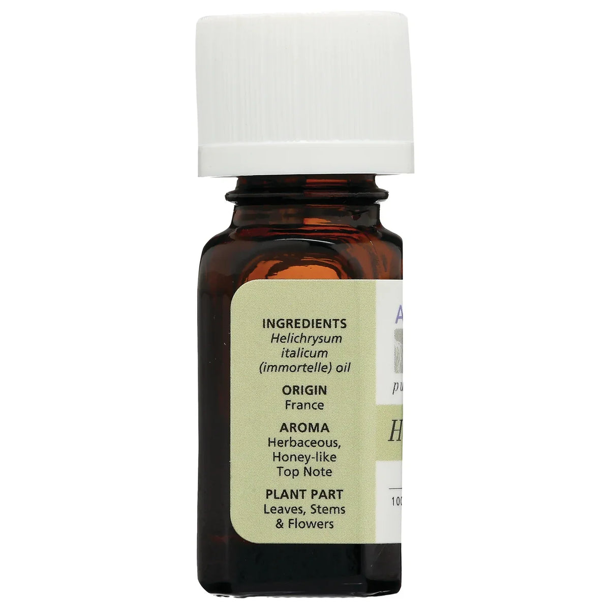 Helichrysum