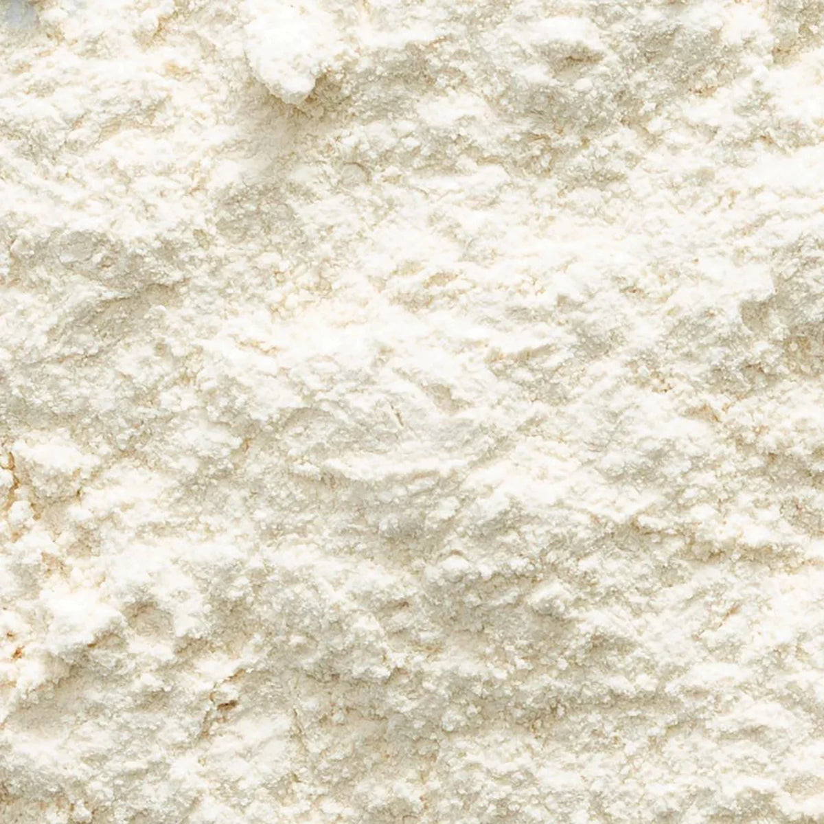 Organic Garlic Powder