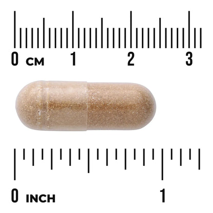 Agaricus Blazei Mushroom Extract