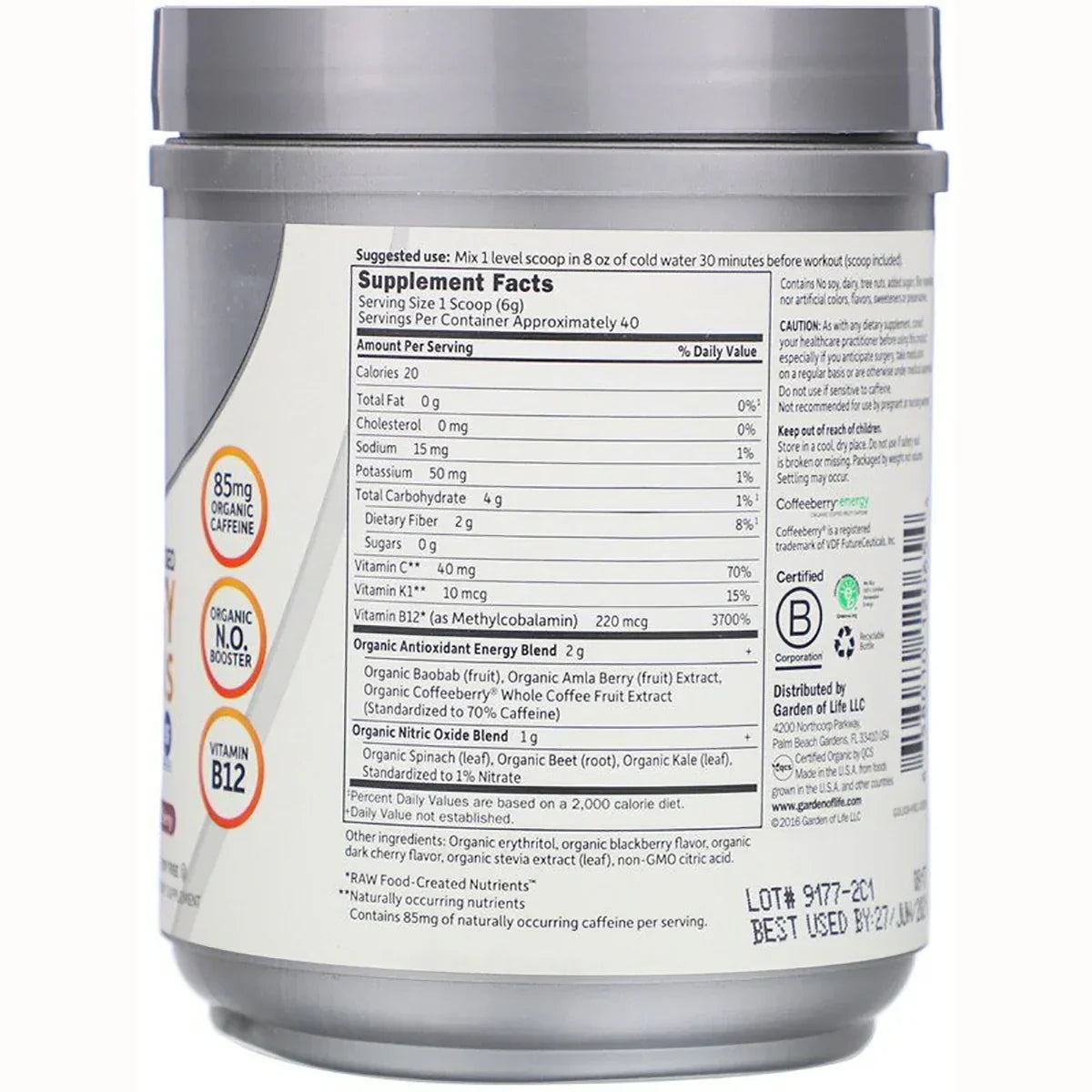 SPORT Organic Plant-Based Energy + Focus - Blackberry Cherry