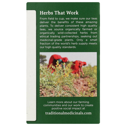Organic Fennel Tea