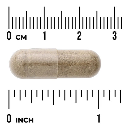 Full Spectrum Chanca Piedra