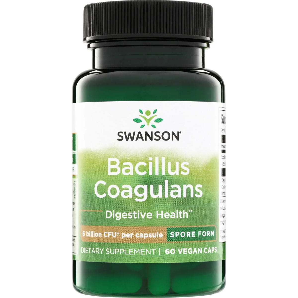 Bacillus Coagulans - Spore Form