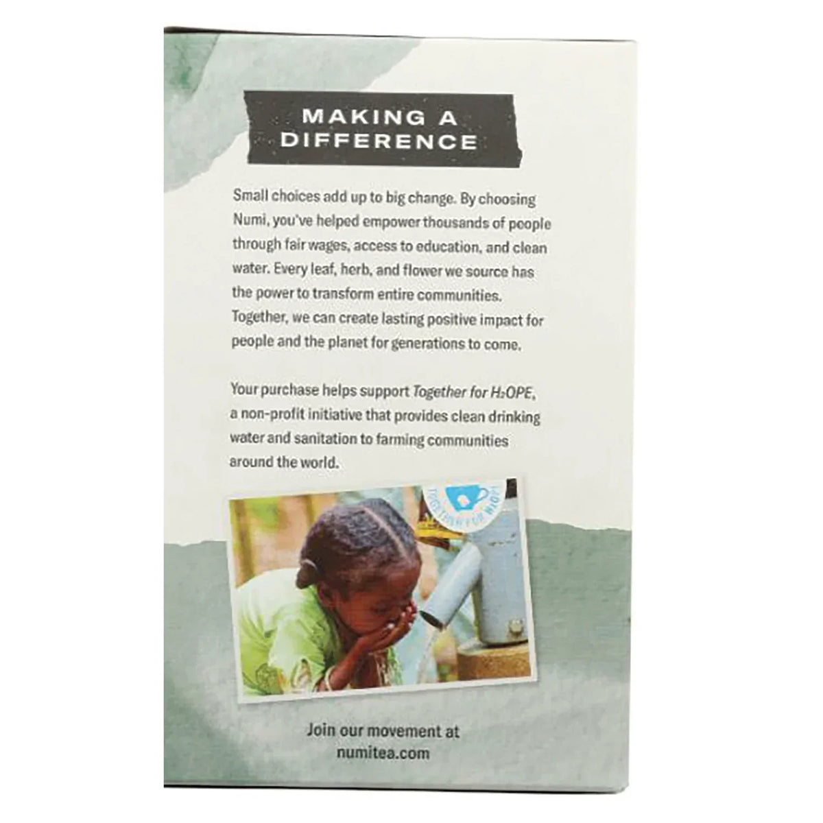 Organic Herbal Teasan - Moroccan Mint