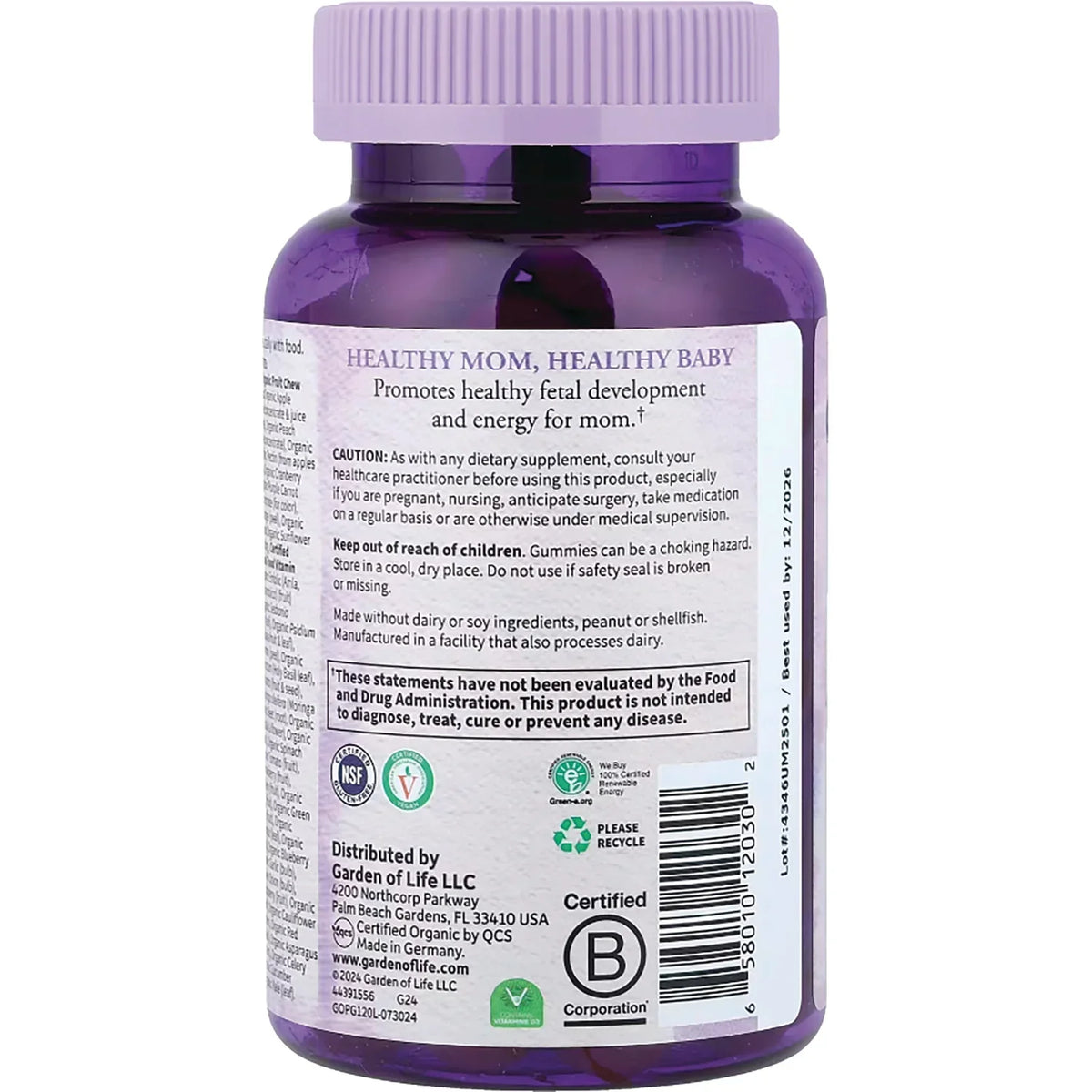 Organics Prenatal Multi Gummies - Organic Berry