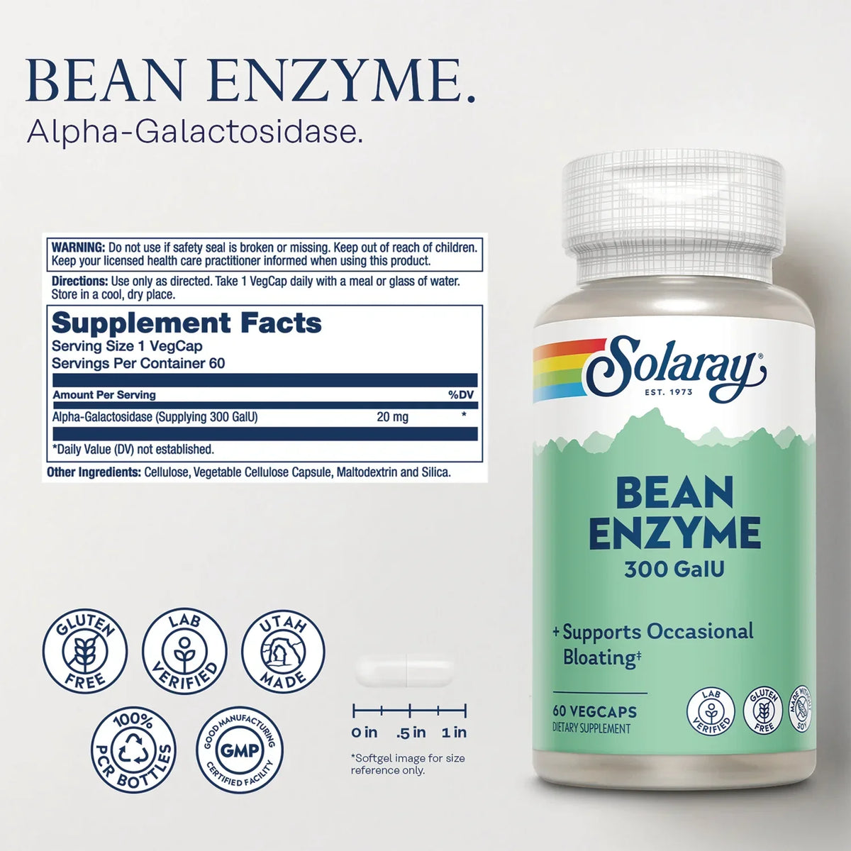 Bean Enzyme