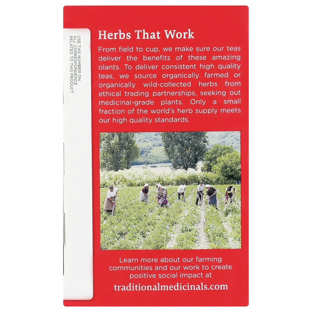 Organic Echinacea Plus Tea - Elderberry