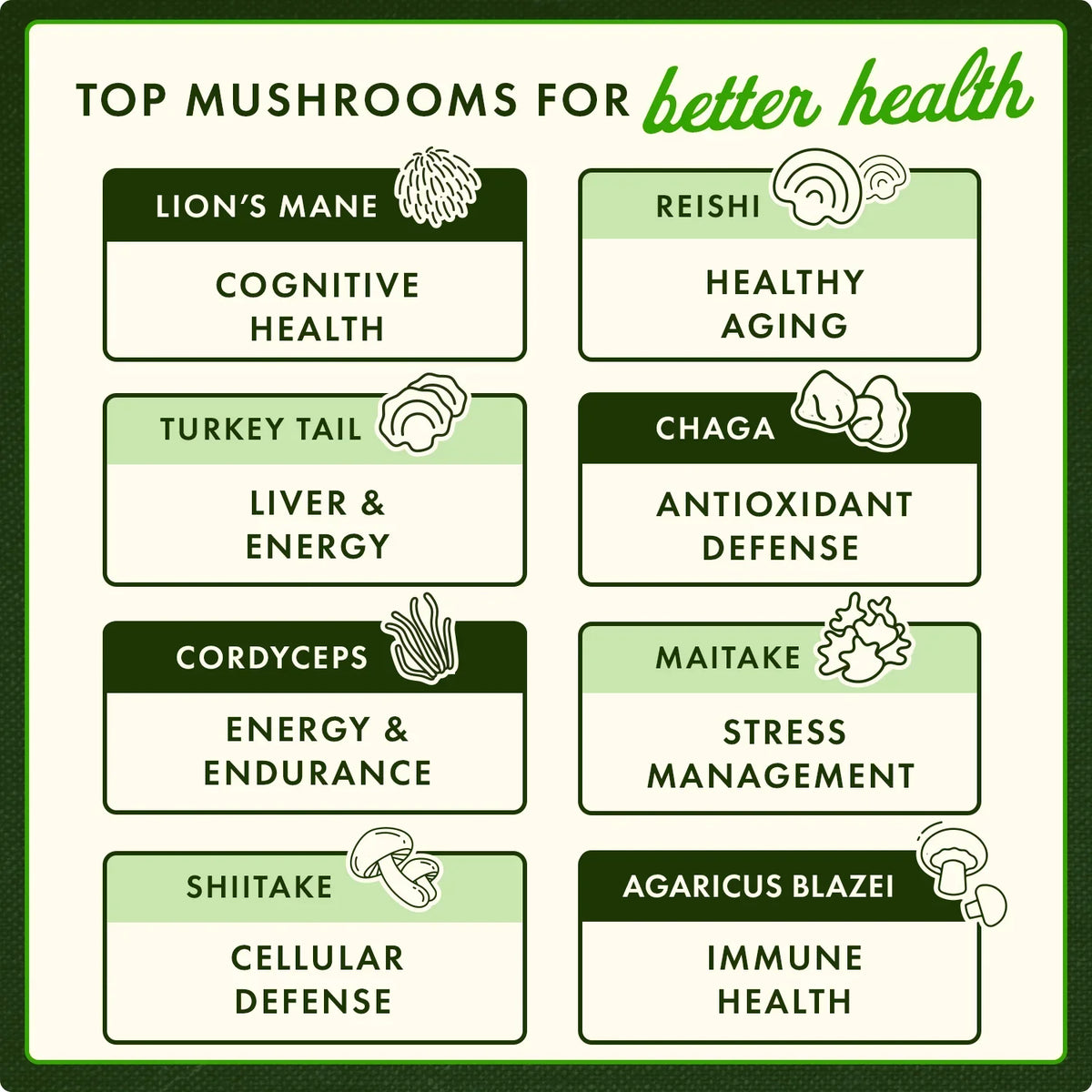 Full Spectrum Reishi Mushroom