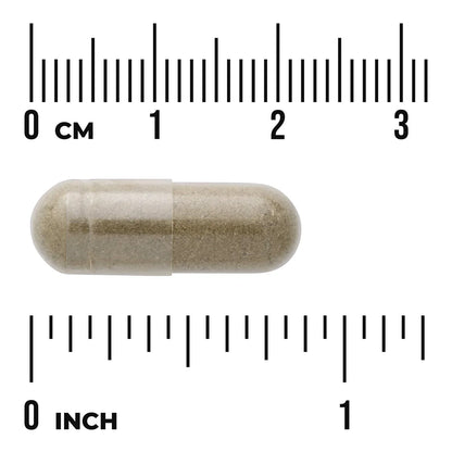 Full Spectrum Papaya Leaf