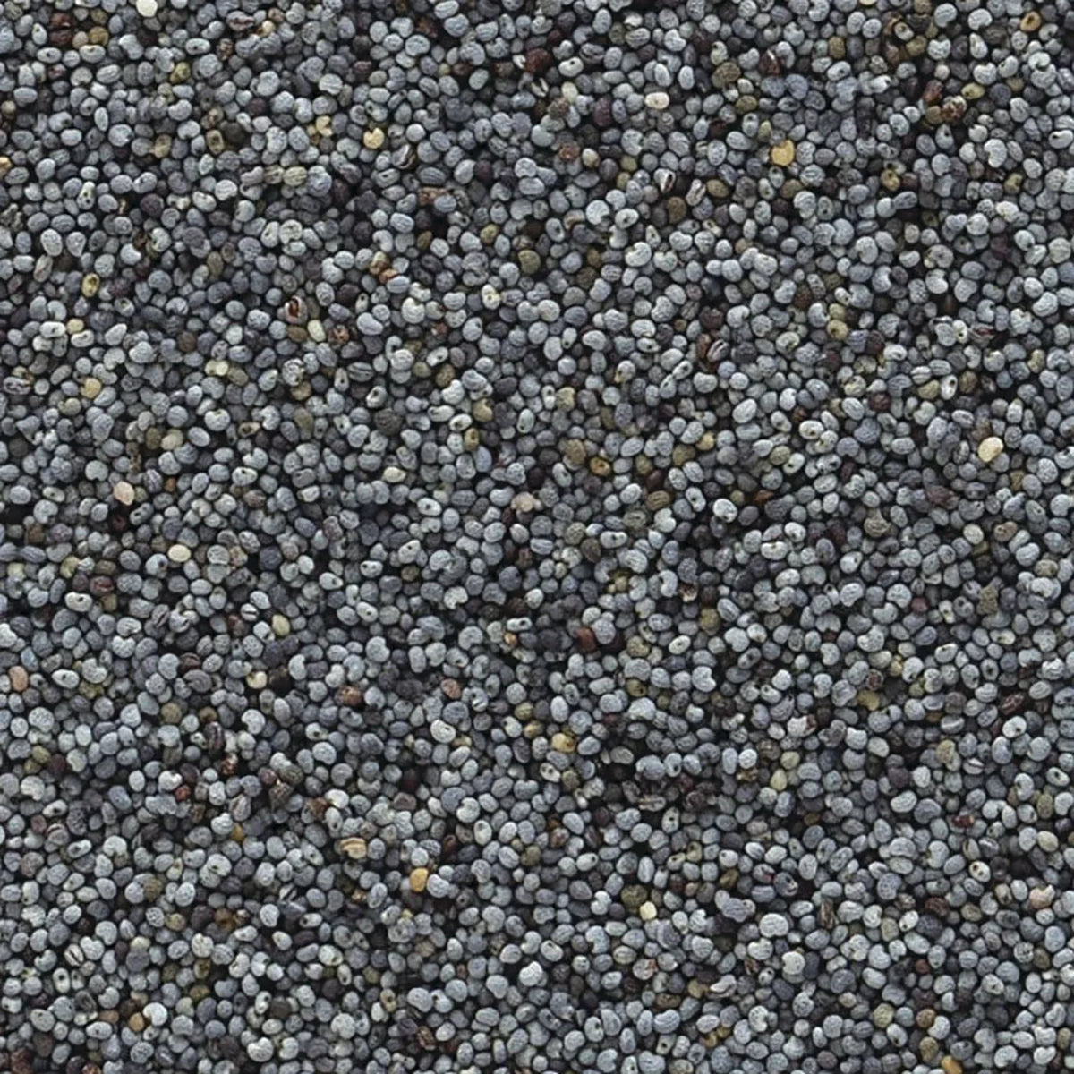 Organic Whole Poppy Seed
