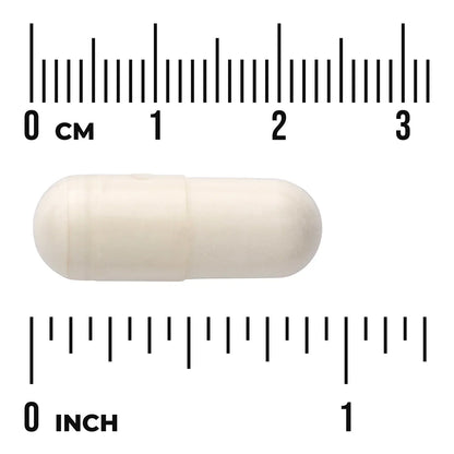 White Kidney Bean Extract