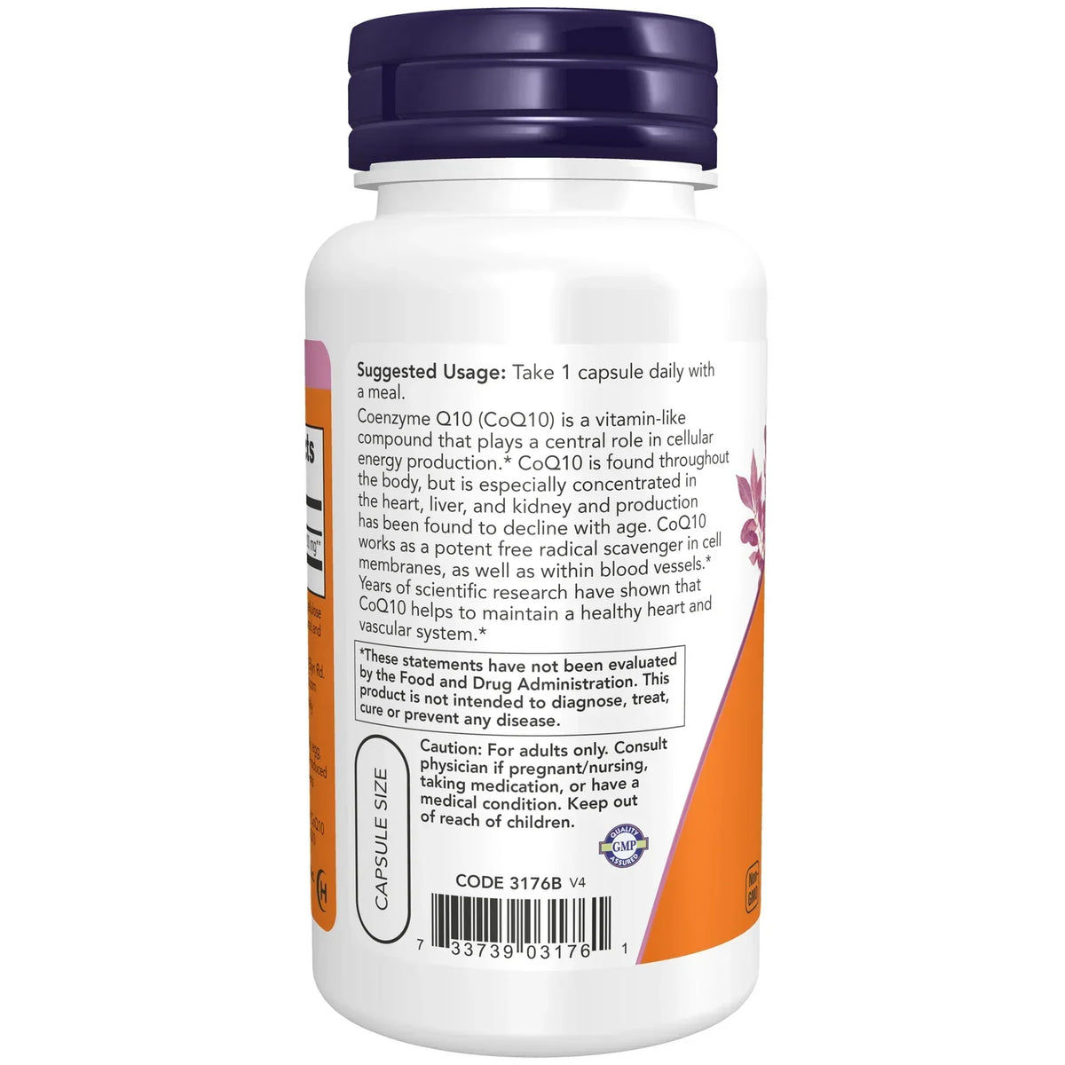 CoQ10