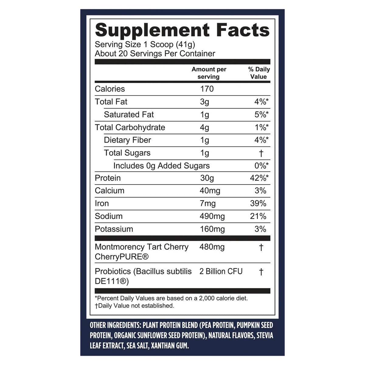 Protein + Recovery - Creamy Vanilla
