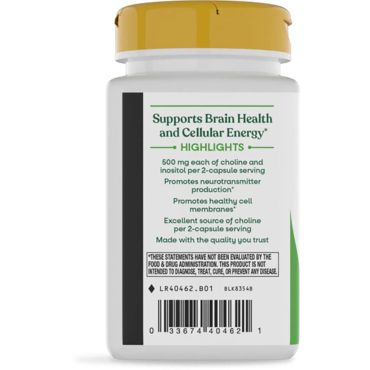 Choline & Inositol