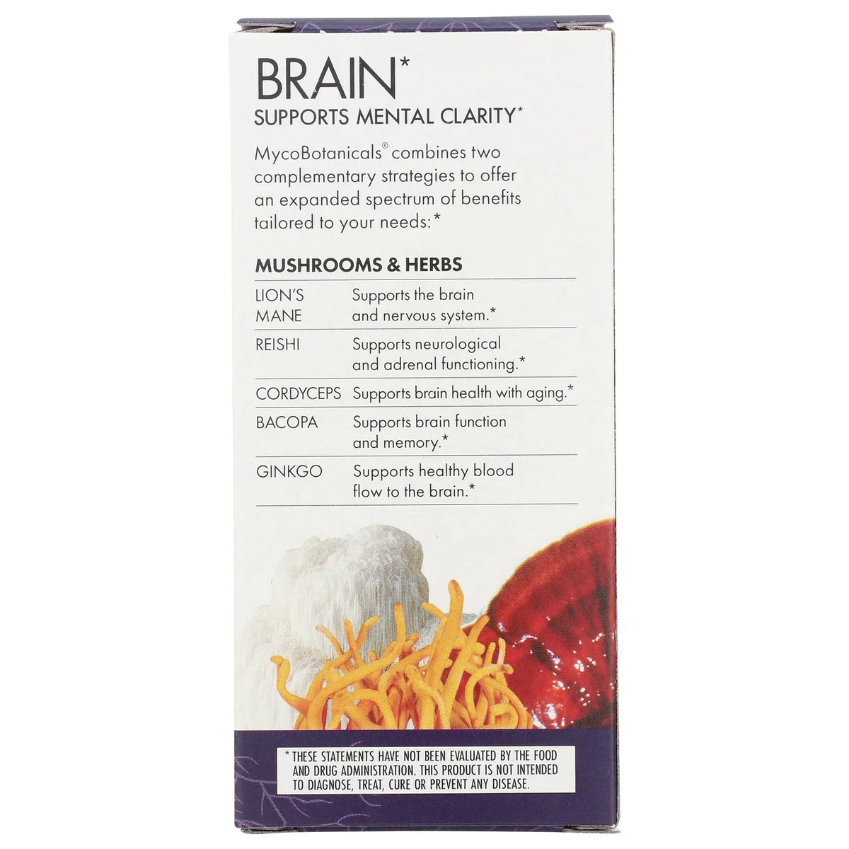 MYCO Botanicals Brain