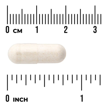 Zinc Carnosine - Featuring PepZinGI