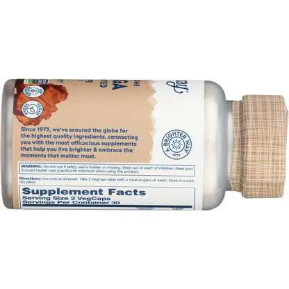 Mushrooms Chaga Fermented