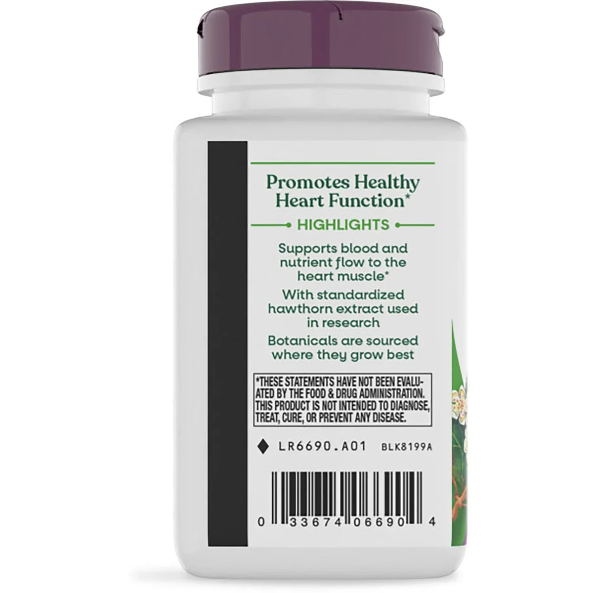 HeartCare Hawthorn