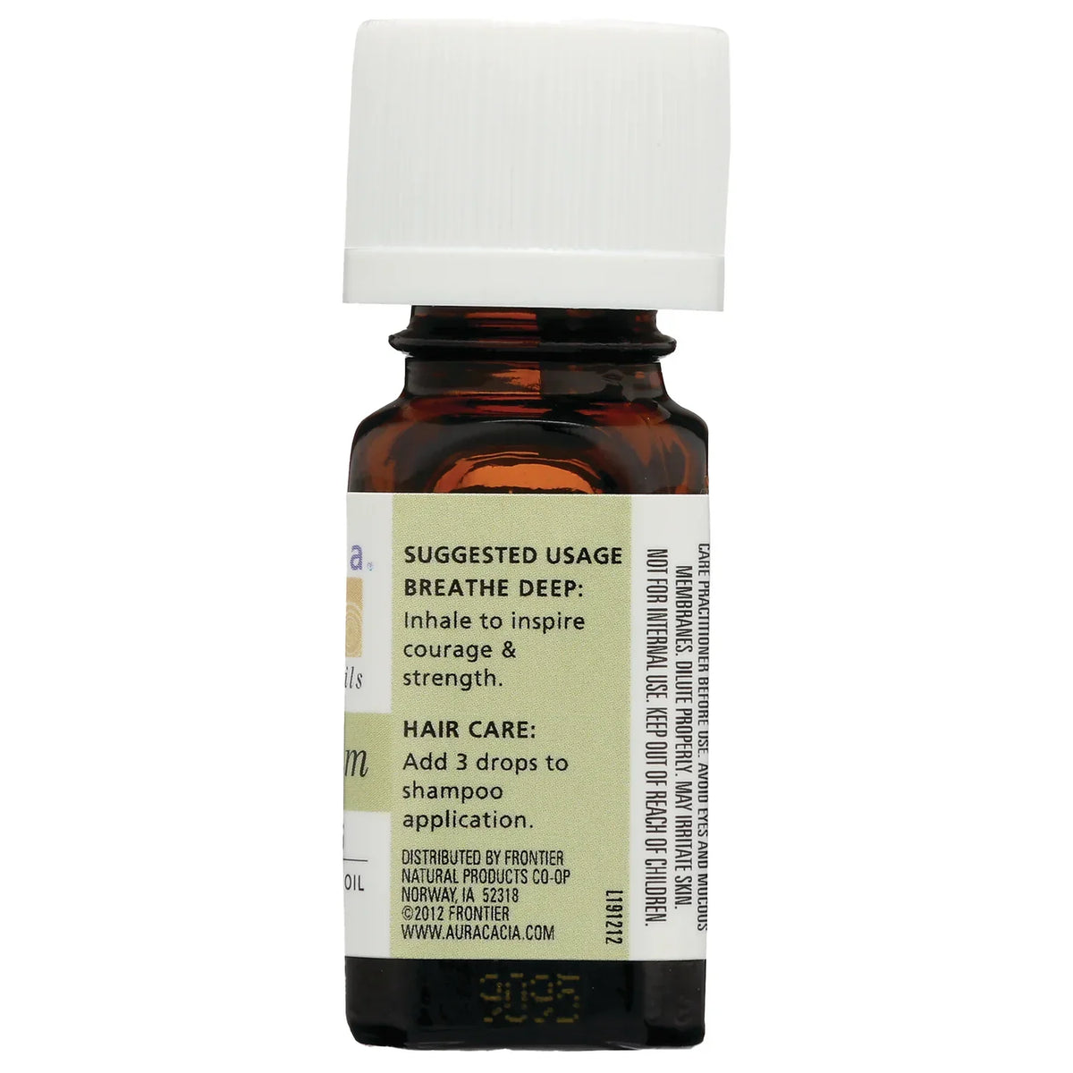 Helichrysum