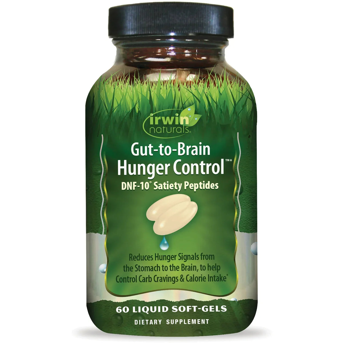 Gut-to-Brain Hunger Control