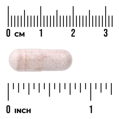 Ecklonia Cava Extract - Standardized