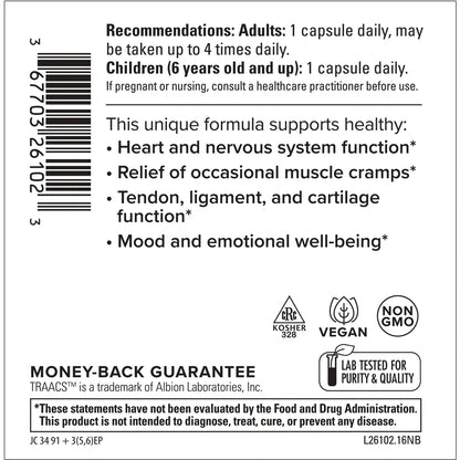 Terry Naturally BioActive Magnesium Complex with P-5-P and Zinc