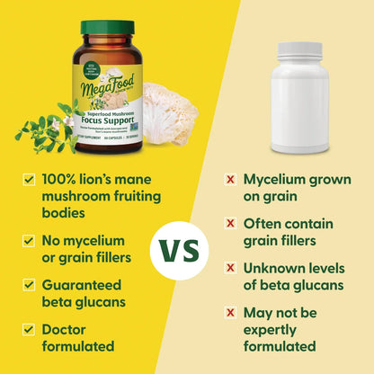 Superfood Mushroom Focus Support